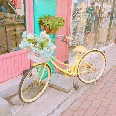 博鱼综合体育官网登录