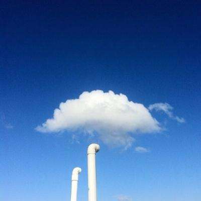 大发棋牌方网址入口截图